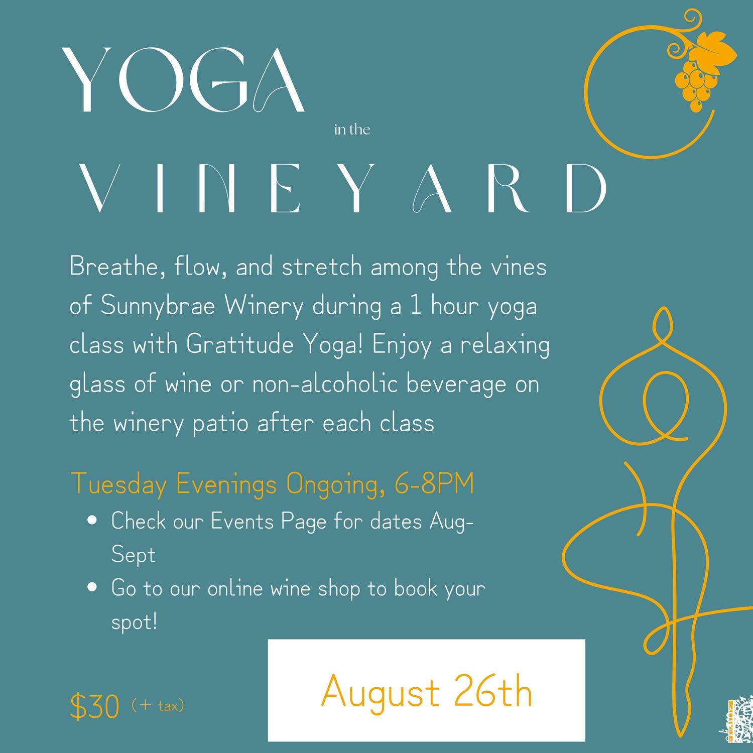 Yoga in the Vineyard